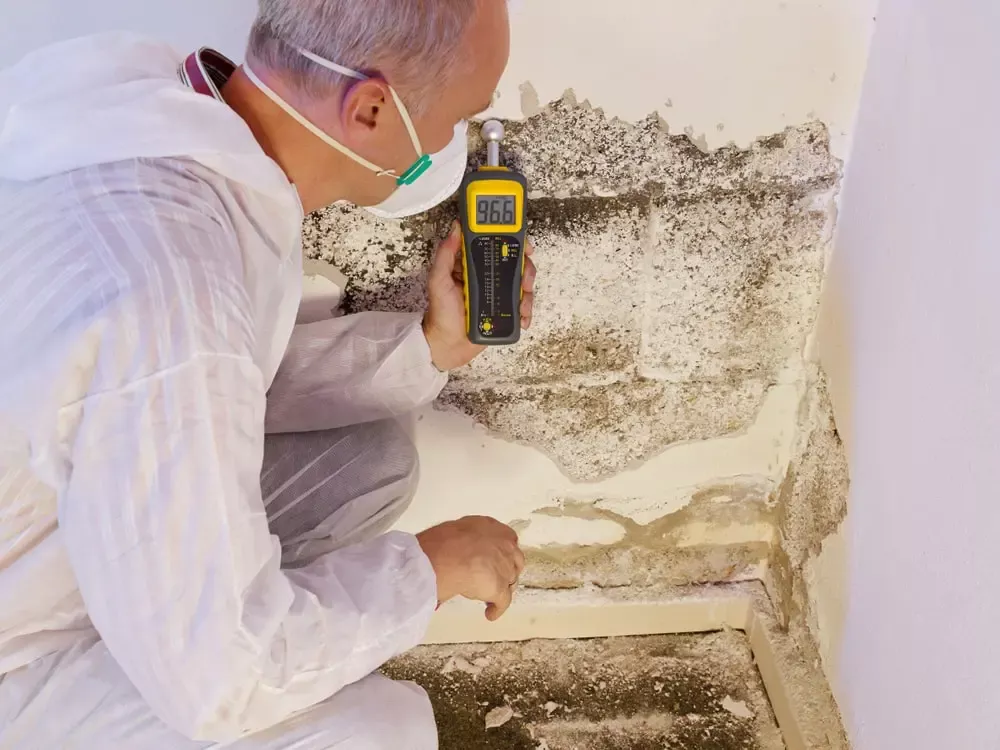 Mold Prevention